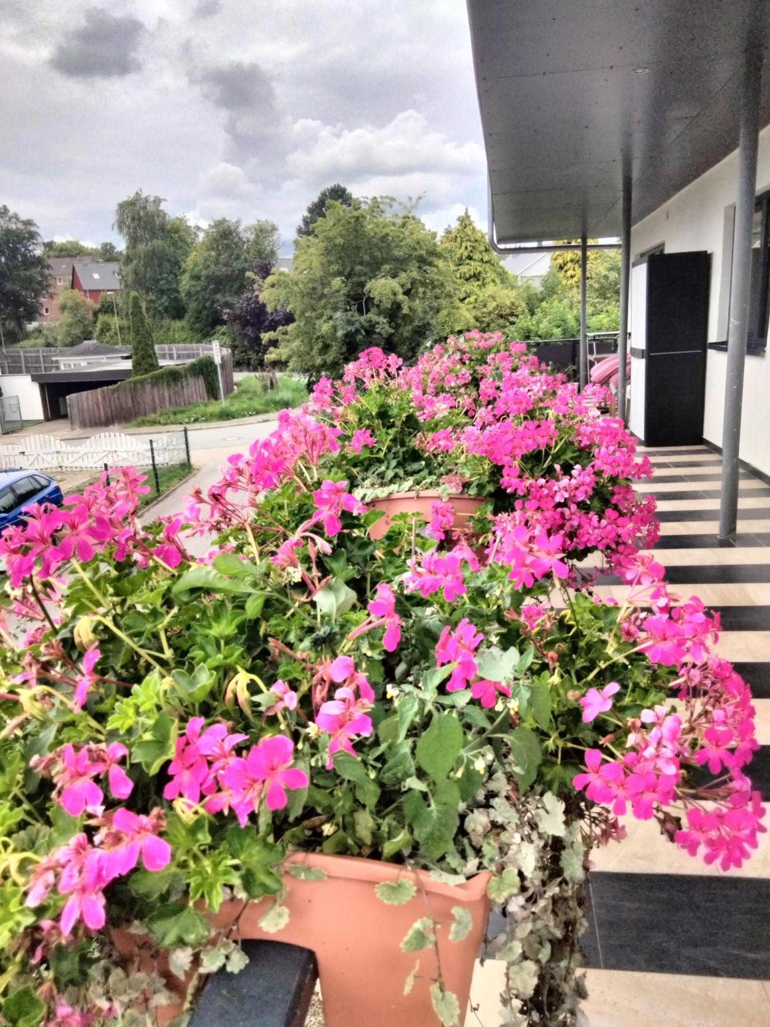 Komfort-Ferienwohnung Mit Ostseeblick ,Entspannung Flensburg Buitenkant foto